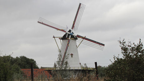 Molen de Graanhalm
