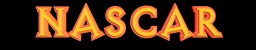 NASCAR Raing Series