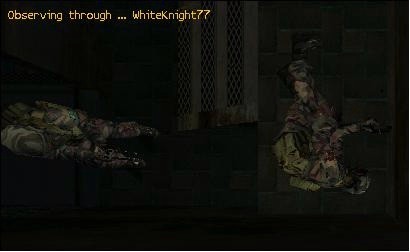 How Did I End Up Like This